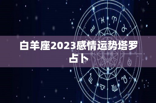 白羊座2023感情运势塔罗占卜