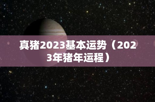 真猪2023基本运势（2023年猪年运程）
