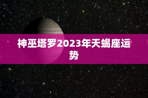 神巫塔罗2023年天蝎座运势