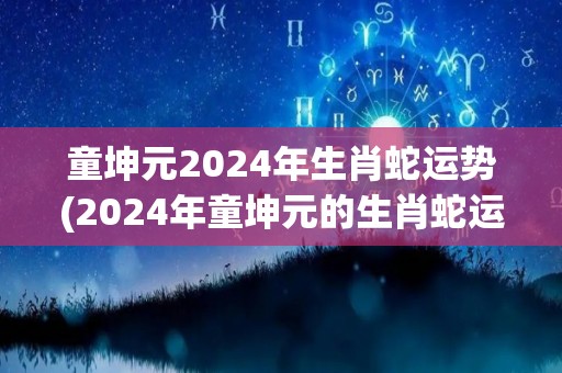 童坤元2024年生肖蛇运势(2024年童坤元的生肖蛇运势预测)