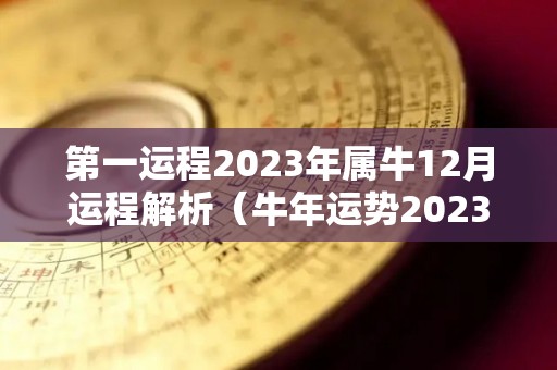 第一运程2023年属牛12月运程解析（牛年运势2023年运势12生肖牛）