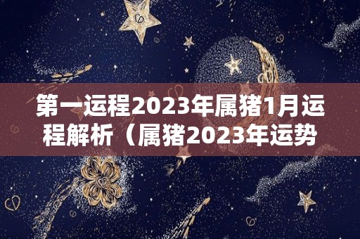 第一运程2023年属猪1月运程解析（属猪2023年运势第一运势）