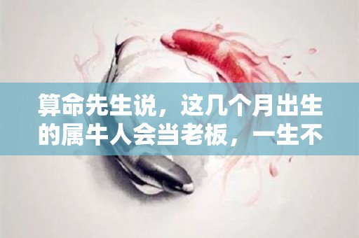 算命先生说，这几个月出生的属牛人会当老板，一生不穷（牛人几月出生的能当大官）