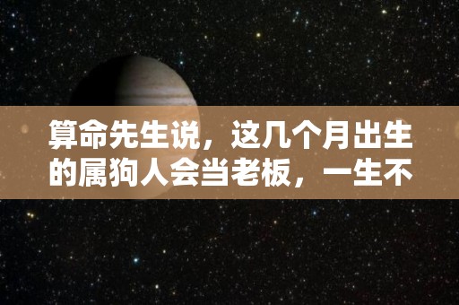 算命先生说，这几个月出生的属狗人会当老板，一生不穷（属狗人哪几个月出生最好）