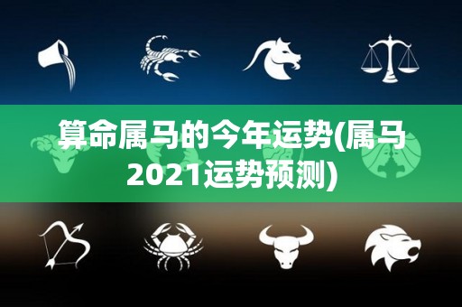 算命属马的今年运势(属马2021运势预测)