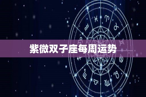紫微双子座每周运势