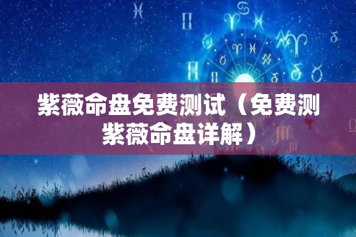 紫薇命盘免费测试（免费测紫薇命盘详解）