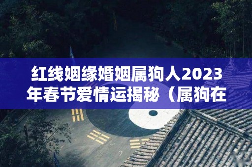 红线姻缘婚姻属狗人2023年春节爱情运揭秘（属狗在2023年）