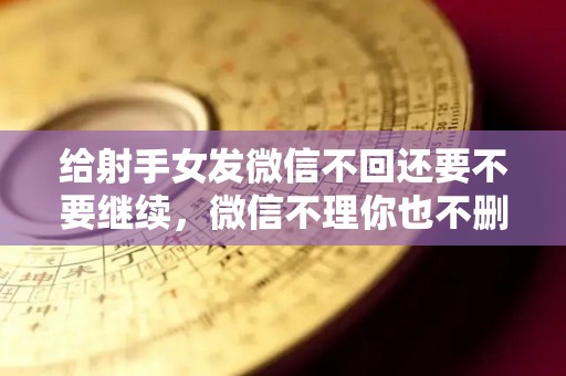 给射手女发微信不回还要不要继续，微信不理你也不删你
