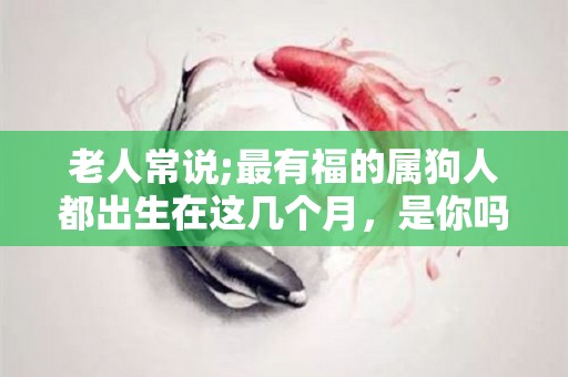 老人常说;最有福的属狗人都出生在这几个月，是你吗？（生肖狗出生在哪个月命运最好）