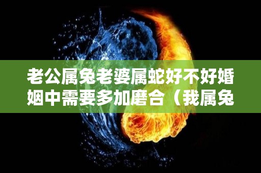老公属兔老婆属蛇好不好婚姻中需要多加磨合（我属兔老婆属蛇好不好）