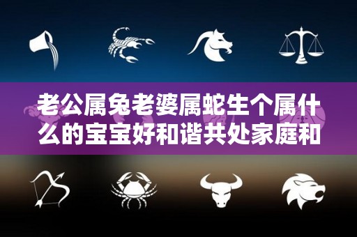 老公属兔老婆属蛇生个属什么的宝宝好和谐共处家庭和睦（老公属兔我属蛇生什么宝宝好）