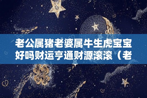 老公属猪老婆属牛生虎宝宝好吗财运亨通财源滚滚（老公属猪老婆属牛生个牛宝宝好吗）