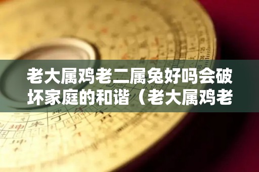 老大属鸡老二属兔好吗会破坏家庭的和谐（老大属鸡老二属鼠好吗）