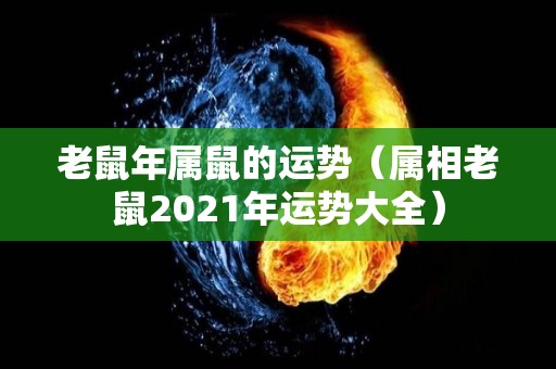 老鼠年属鼠的运势（属相老鼠2021年运势大全）
