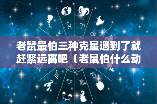 老鼠最怕三种克星遇到了就赶紧远离吧（老鼠怕什么动物?）