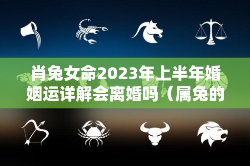 肖兔女命2023年上半年婚姻运详解会离婚吗（属兔的2023年运势如何 女性）