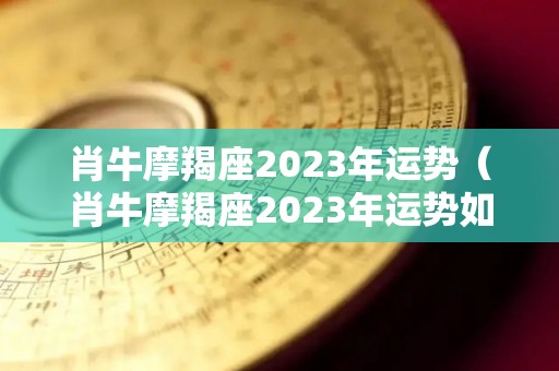 肖牛摩羯座2023年运势（肖牛摩羯座2023年运势如何）