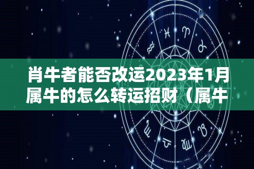 肖牛者能否改运2023年1月属牛的怎么转运招财（属牛的2021年1月运势如何）