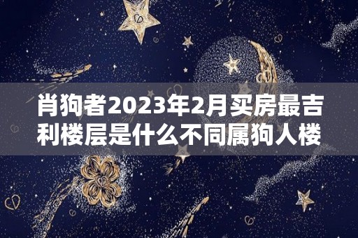 肖狗者2023年2月买房最吉利楼层是什么不同属狗人楼层不同（2021年属狗买房楼层）