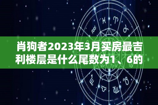 肖狗者2023年3月买房最吉利楼层是什么尾数为1、6的楼层（2020年属狗买房最佳楼房）