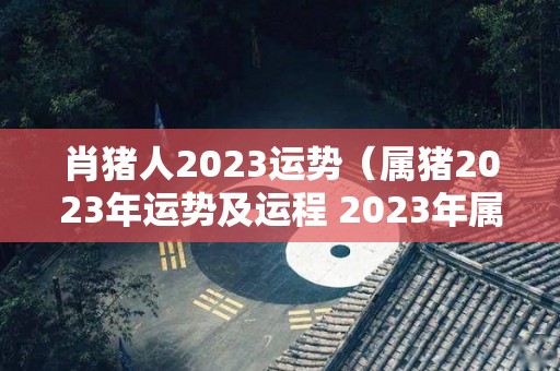 肖猪人2023运势（属猪2023年运势及运程 2023年属猪人的全年每月运势）