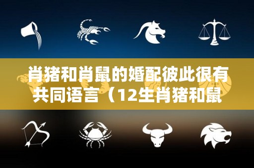 肖猪和肖鼠的婚配彼此很有共同语言（12生肖猪和鼠配吗）