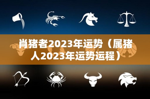 肖猪者2023年运势（属猪人2023年运势运程）