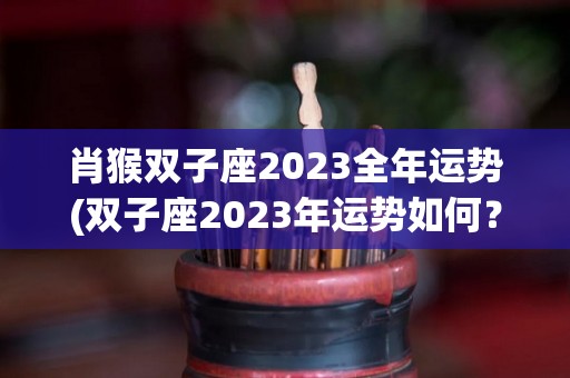 肖猴双子座2023全年运势(双子座2023年运势如何？)
