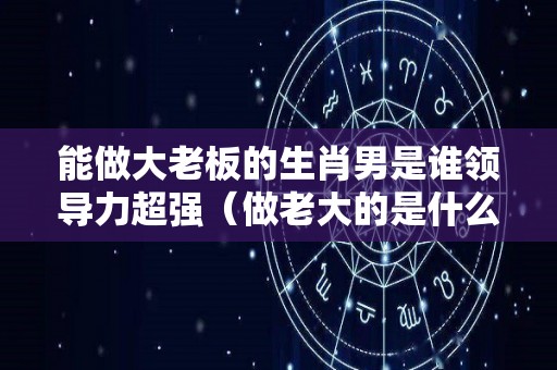 能做大老板的生肖男是谁领导力超强（做老大的是什么生肖）
