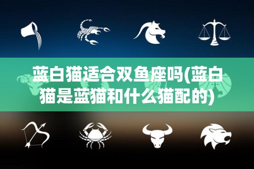 蓝白猫适合双鱼座吗(蓝白猫是蓝猫和什么猫配的)