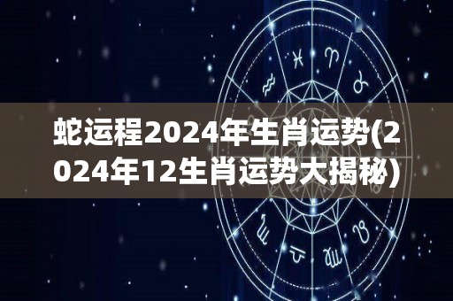 蛇运程2024年生肖运势(2024年12生肖运势大揭秘)