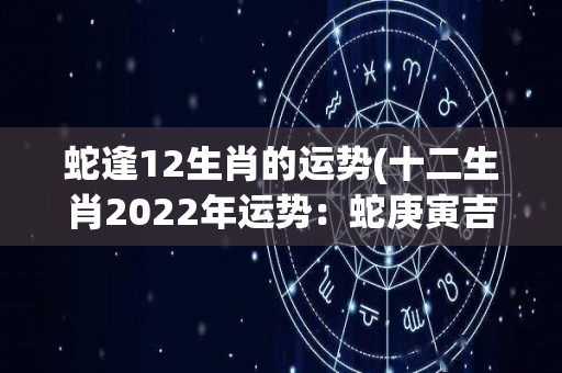 蛇逢12生肖的运势(十二生肖2022年运势：蛇庚寅吉星高照！)