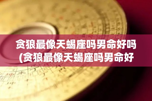 贪狼最像天蝎座吗男命好吗(贪狼最像天蝎座吗男命好吗还是女命)