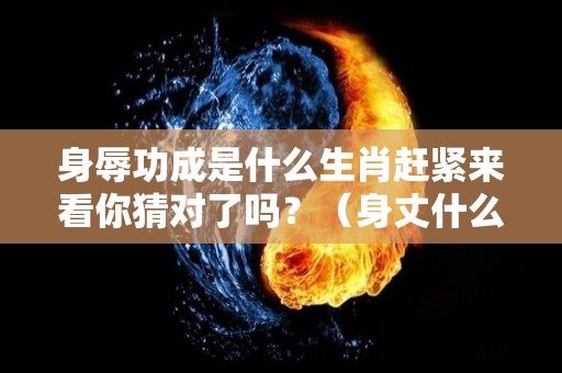 身辱功成是什么生肖赶紧来看你猜对了吗？（身丈什么意思）