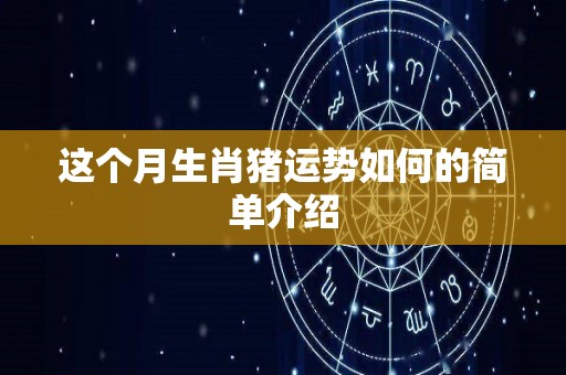 这个月生肖猪运势如何的简单介绍