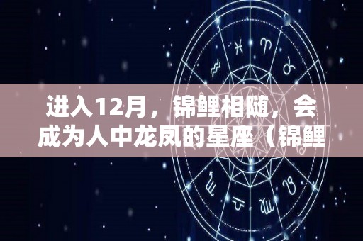 进入12月，锦鲤相随，会成为人中龙凤的星座（锦鲤星座什么意思）