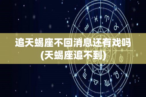 追天蝎座不回消息还有戏吗(天蝎座追不到)