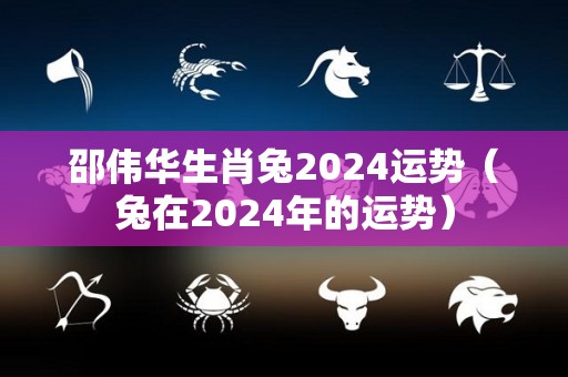 邵伟华生肖兔2024运势（兔在2024年的运势）