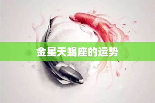 金星天蝎座的运势