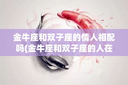 金牛座和双子座的情人相配吗(金牛座和双子座的人在一起合得来吗)