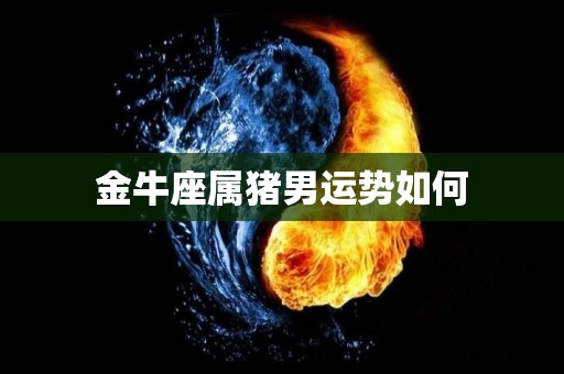 金牛座属猪男运势如何