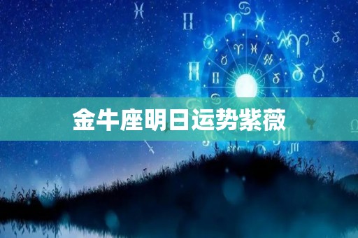 金牛座明日运势紫薇