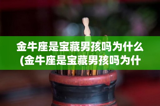 金牛座是宝藏男孩吗为什么(金牛座是宝藏男孩吗为什么呢)