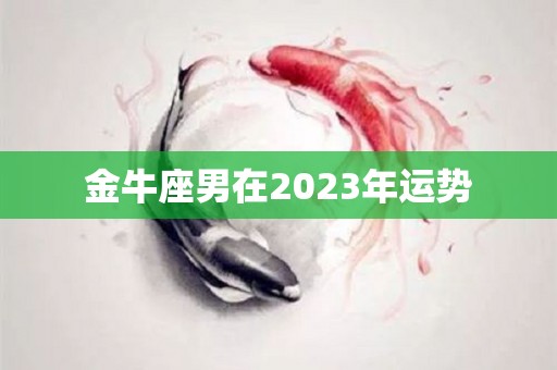 金牛座男在2023年运势