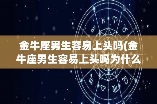 金牛座男生容易上头吗(金牛座男生容易上头吗为什么)
