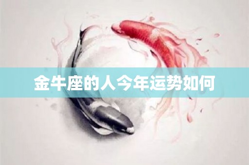 金牛座的人今年运势如何