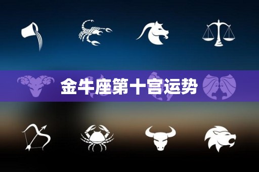 金牛座第十宫运势