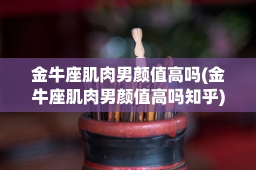 金牛座肌肉男颜值高吗(金牛座肌肉男颜值高吗知乎)