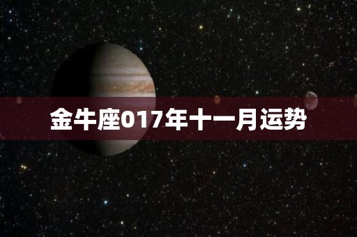 金牛座017年十一月运势